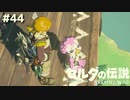 お兄さんはそこそこ子供は苦手なんだよ～^^【ゼルダの伝説 ブレス オブ ザ ワイルド㊹】