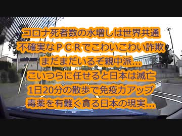【過去雑談】もうこの時既にPCRの茶番に気付いてた！真の目的はちくわだと言う事も...替え歌カフェvol.6追加収録