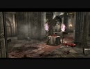 【バイオハザード４】至って普通のプレイ　part8【難易度プロフェッショナル】