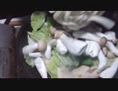 #節約料理　残り汁活用昆布茶味焼きうどん　#糖尿病改善　#AIc改善