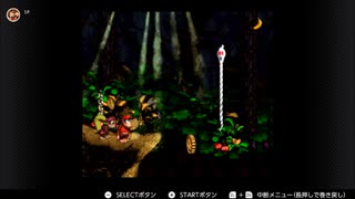 【スーパードンキーコング２】Forest Interlude（Enchanted Wood）【BGM】