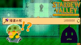 【Stardew Valley】一生分を費やしても払えなさそうな金額の商品…なんだこれは！？＃145