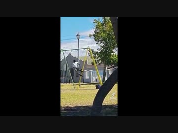 ホモと見る ブランコを極めた男