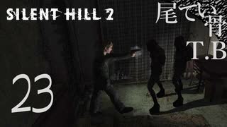 【初見】どうしたんだ真っ黒じゃないか⁈ SILENT HILL2 part23