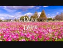 Dawn 2022