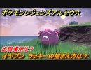 ポケモンレジェンズ アルセウス　オヤブン　ラッキーの捕まえ方は？出現場所は？　＃４２０【Pokémon LEGENDS アルセウス】