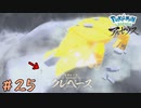 【実況】はい無理～～～～【ポケモンレジェンズアルセウス】25