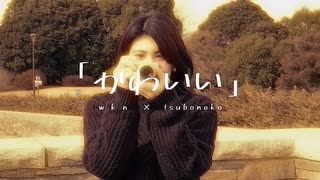 「かわいい」- いぬねこ with shin / オリジナルMV