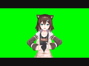 野良猫GB