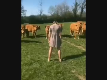 ホモと見る　全生物が恐る動き