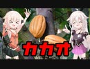 カカオ