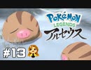 【Pokémon LEGENDS アルセウス】PUIPUIウリムー #13