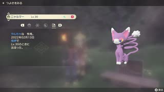 ポケモンレジェンズ アルセウス 色違いニャルマー！