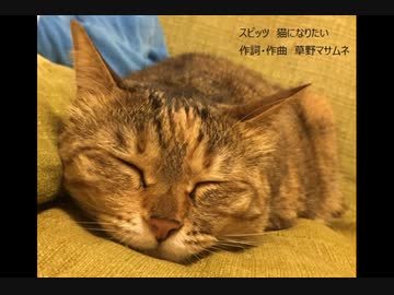 【初音ミク】スピッツ 猫になりたい【カバー】