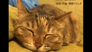 【初音ミク】スピッツ 猫になりたい【カバー】