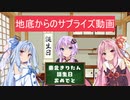 【地底からのサプライズ動画】きりたん誕生日おめでと