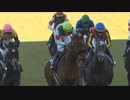 【競馬MAD】2021年競馬集(宝塚記念PV風)