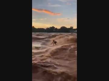 ホモと見る洪水に挑むサーファー