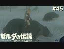 雪山は過酷【ゼルダの伝説 ブレス オブ ザ ワイルド㊺】