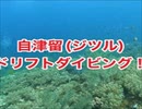 自津留ドリフトテングハギモドキ