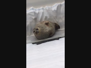 ホモと見る　朝起きて遅刻確定したとき