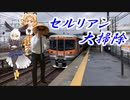 【けもフレ３】中央西線、快速が走破するまでにセルリアンを絶滅させる　名古屋-中津川　実況