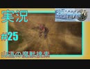 【女性実況】#25　英雄伝説　空の軌跡FC　山道の魔獣捜索【PSP】