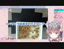 【切り抜き】もなかさん⁉️激辛に負けないで□【ハコネクト/玉ノ井もなか】