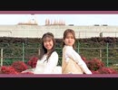 【初コラボ】チェリボム 踊ってみた【-とら-×しおな】