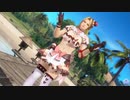 【DoaXvv/エレナ】立ち・あつーい/スイート・ショコラティエ 021512