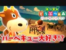 【あつまれ どうぶつの森 ハッピーホームパラダイス実況】別荘？？OK！任せて！part78
