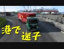 【Euro Truck Simulator 2】ペーパー歴10年が今日からトラックドライバー 第20回【実況プレイ】