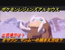 ポケモンレジェンズ アルセウス　オヤブン　マンムーの捕まえ方は？出現場所は？　＃４４４【Pokémon LEGENDS アルセウス】