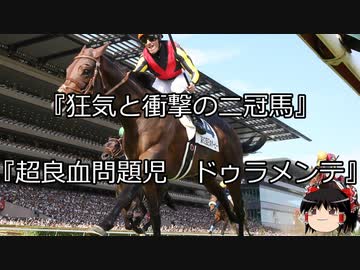 【競馬】ゆっくりさんと未来に語り継ぎたい名馬たち その067【ゆっくり朗読】