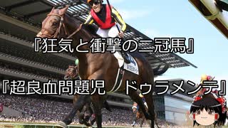 【競馬】ゆっくりさんと未来に語り継ぎたい名馬たち その067【ゆっくり朗読】