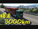 【Euro Truck Simulator 2】約3000km長距離配送！目指せ無事故無違反（#22）【実況プレイ】
