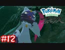 【Pokémon LEGENDS アルセウス】未来人２人で登山デートしました#12