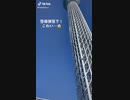 ホモと見るスカイツリーからの落雪