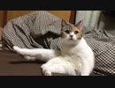 2022/02/11 20:07 うすしお 配信アーカイブ
