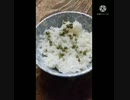 豆ごはんに青実山椒想像通りの旨さ格下の相手に敗戦 豆ごはん違った負け誤算