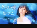 「ガラスの蝶」なつこ【MV】