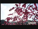 ChillVirus