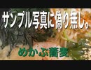お蕎麦　チュルズルライブ　めかぶに嘘なし