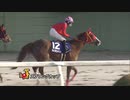 【名古屋競馬】第47回スプリングカップ【3歳重賞[SPⅠ]・2022】