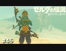 砂漠は暑い【ゼルダの伝説 ブレス オブ ザ ワイルド㊻】