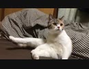 2022/02/12 19:20 うすしお 配信アーカイブ