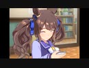 トーセンジョーダン「……ダメ？」