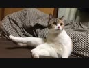 2022/02/12 19:20 うすしお 配信アーカイブ