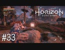 【ゆっくり実況】Horizon Zero Dawn その33