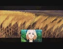 【ポケモンアルセウス】卍#10【クマは女に弱い】